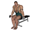 Hammer Curl - Seated Dumbbell Narrow Alternate
